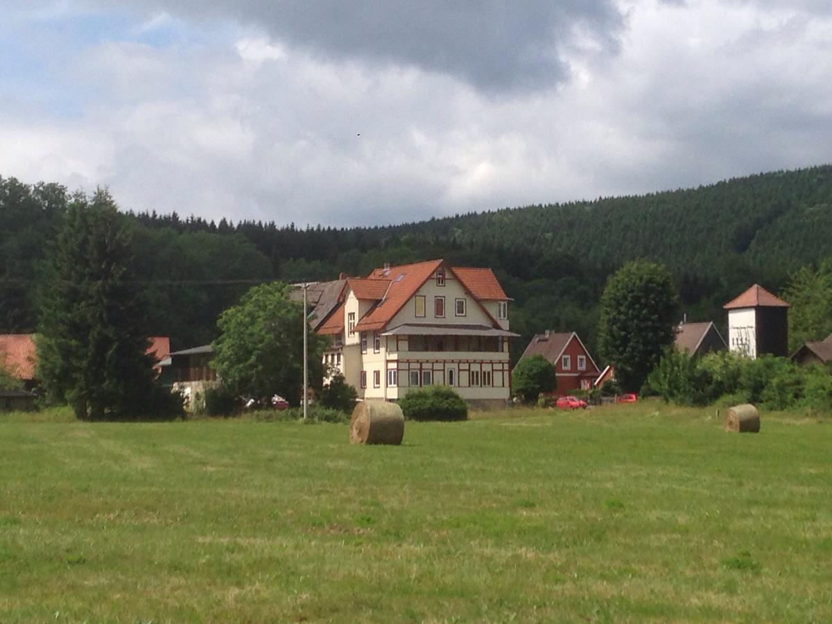Herrlicher Harz Suites エーレント エクステリア 写真