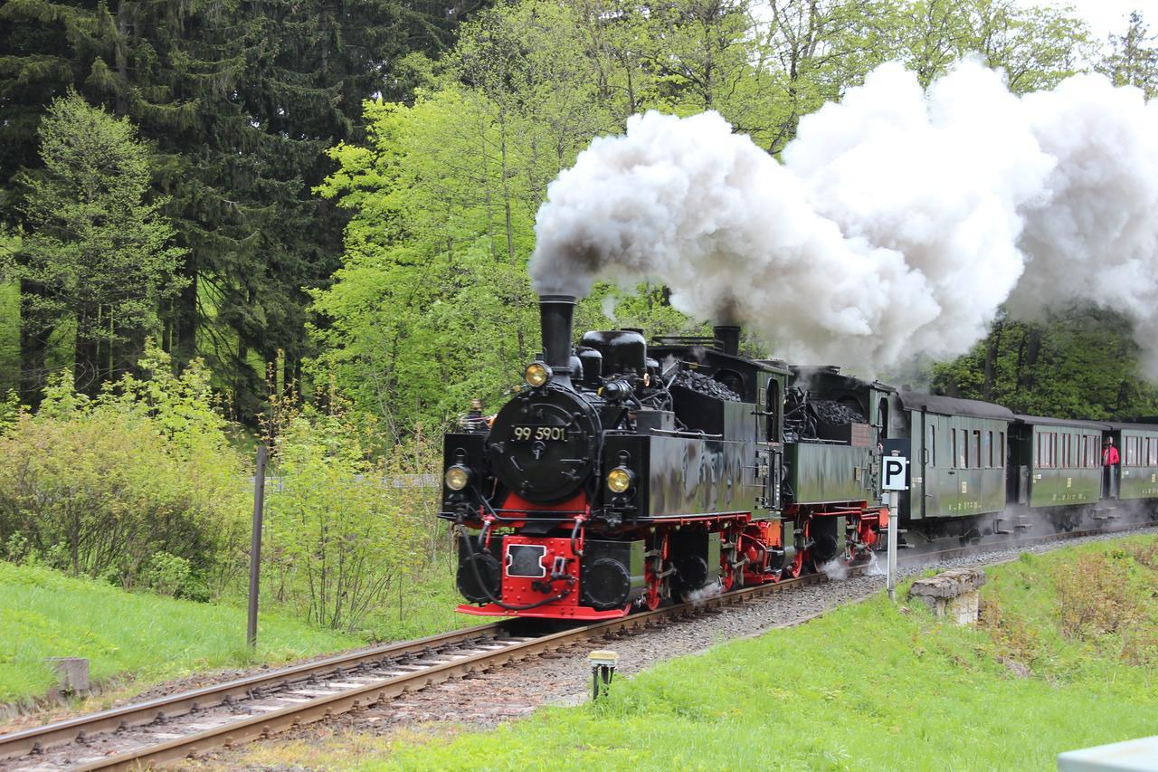 Herrlicher Harz Suites エーレント エクステリア 写真